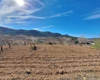 Resale - Grond - Pinoso