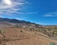 Resale - Grond - Pinoso