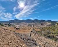 Resale - Grond - Pinoso