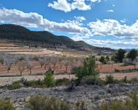 Resale - Grond - Pinoso