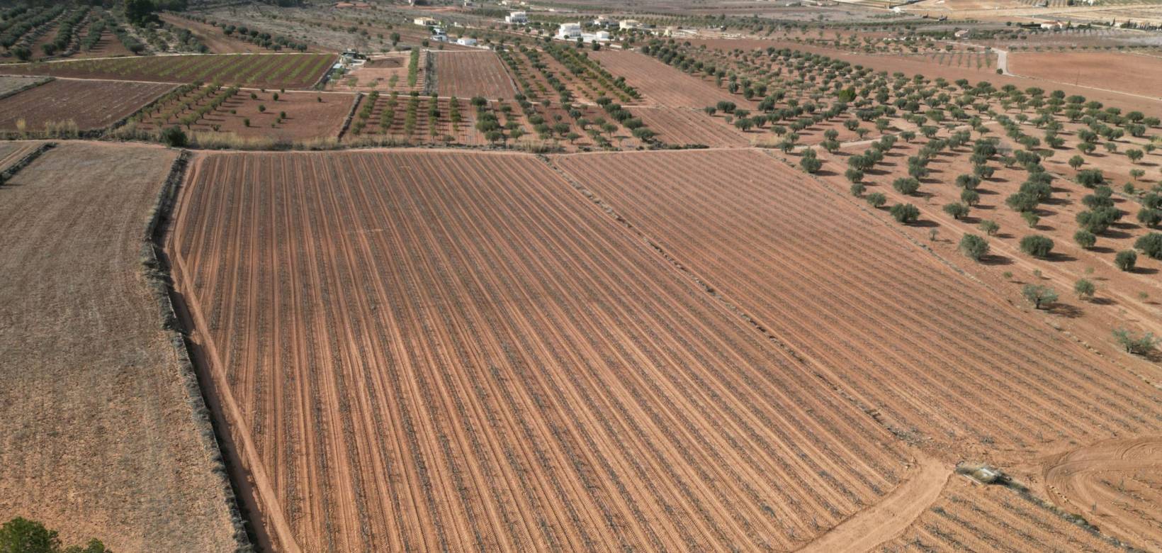 Resale - Grond - Pinoso