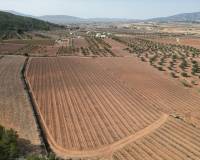 Resale - Grond - Pinoso