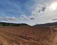 Resale - Grond - Pinoso