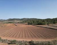 Resale - Grond - Pinoso