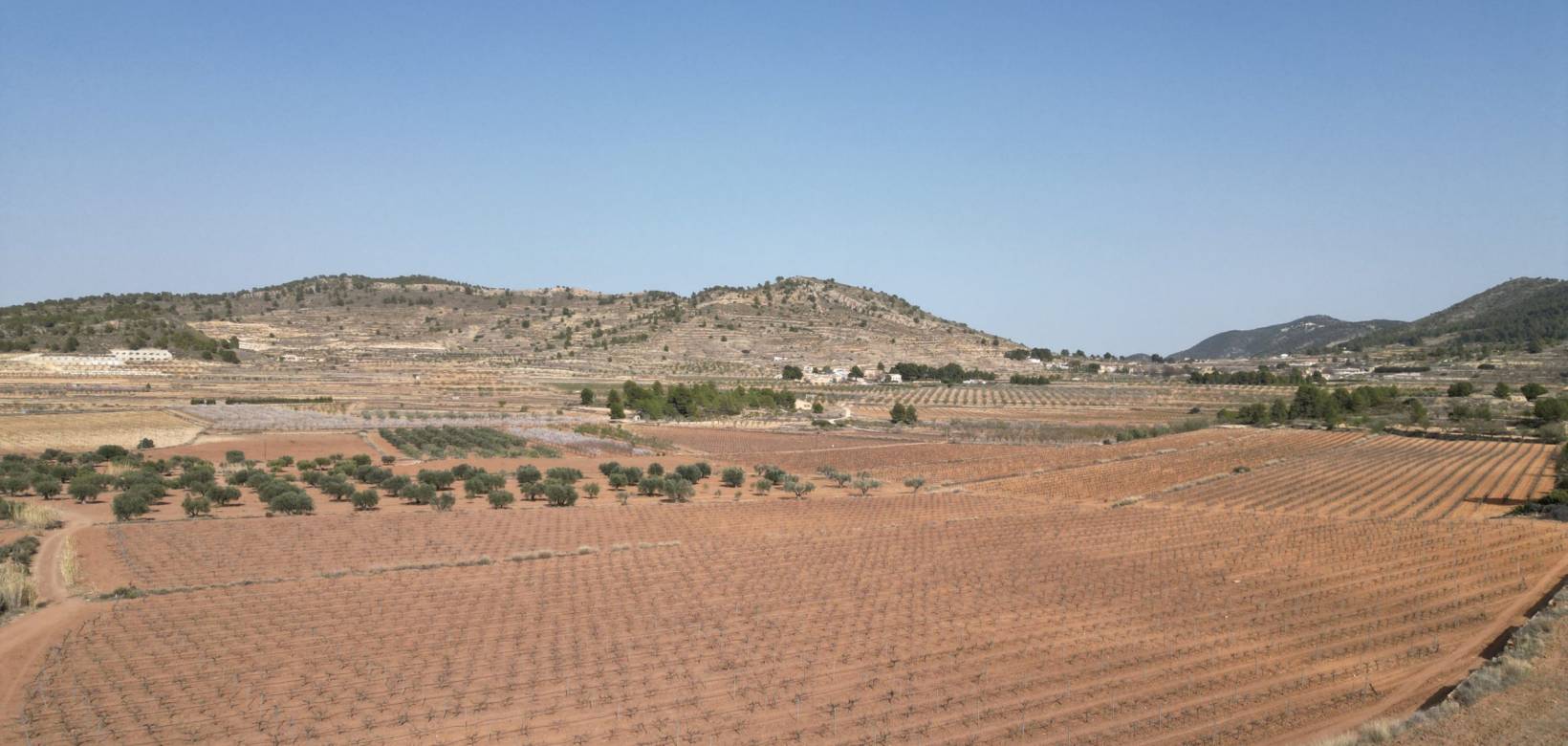 Resale - Grond - Pinoso