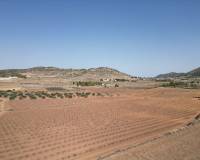 Resale - Grond - Pinoso