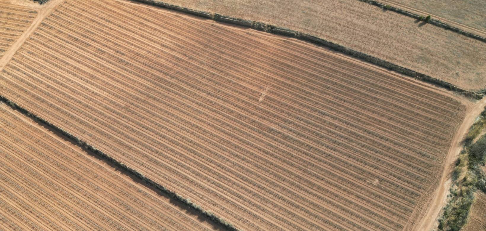 Resale - Grond - Pinoso