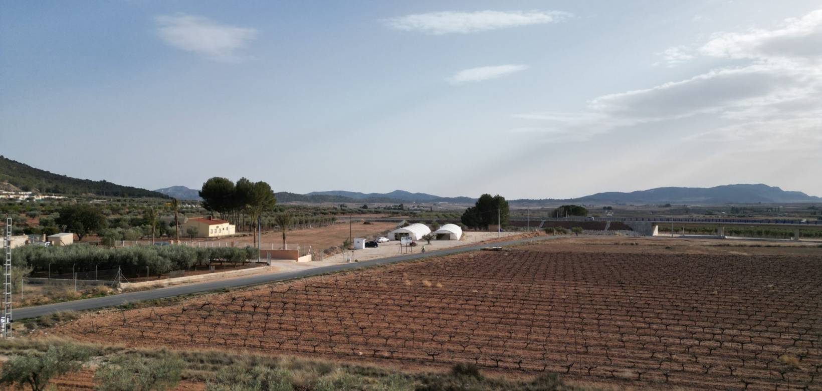 Resale - Grond - Pinoso