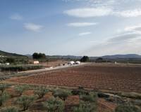 Resale - Grond - Pinoso
