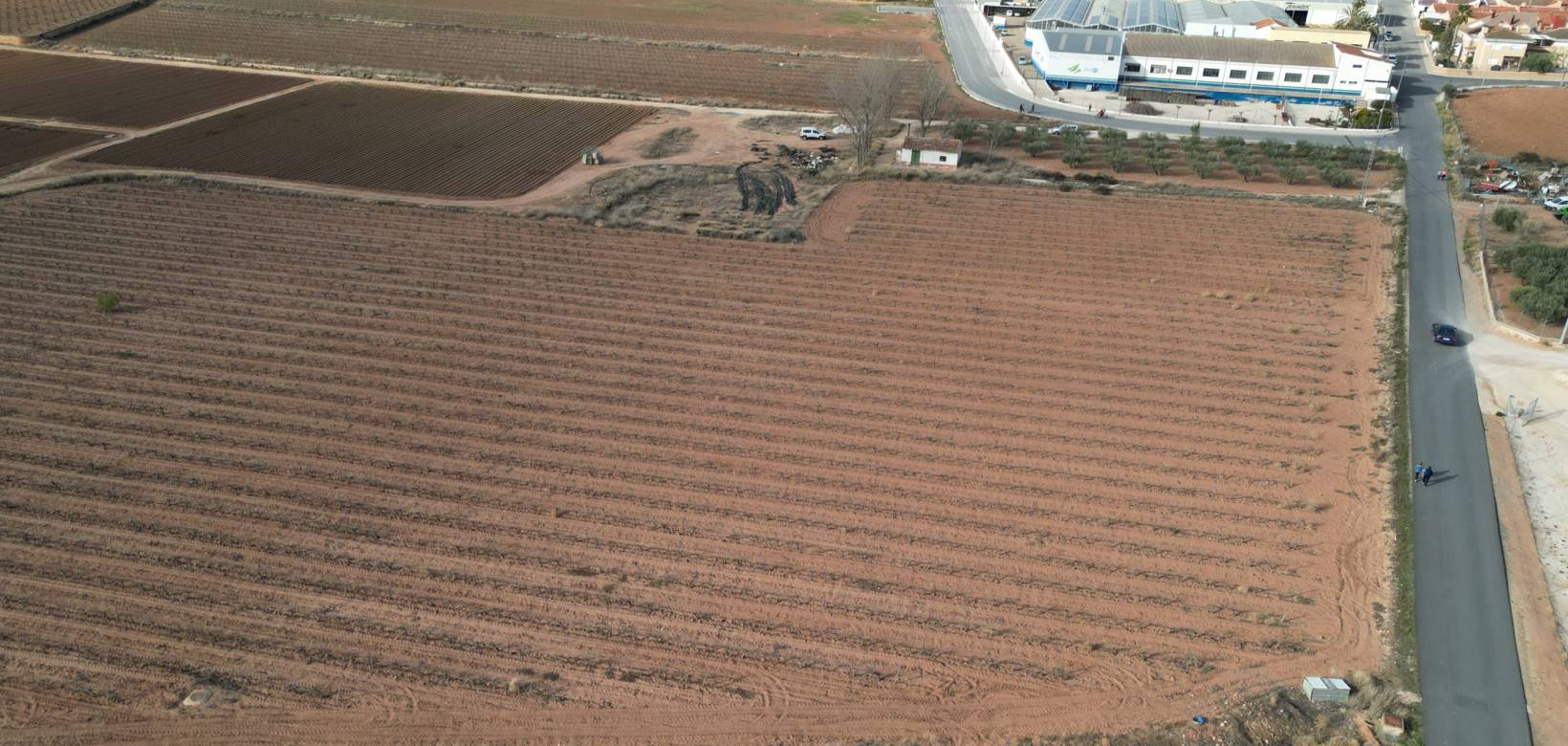 Resale - Grond - Pinoso