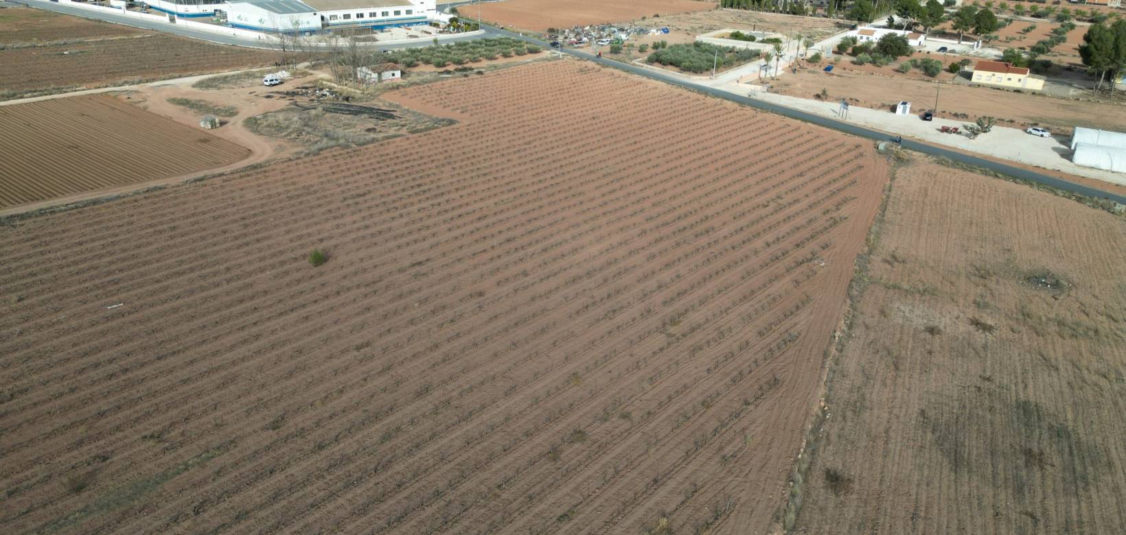 Resale - Grond - Pinoso