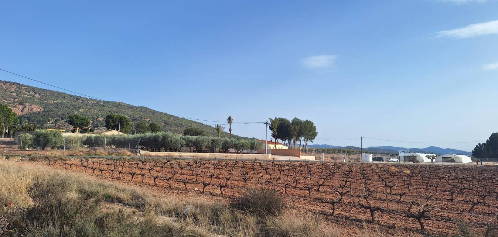 Resale - Grond - Pinoso