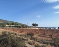 Resale - Grond - Pinoso