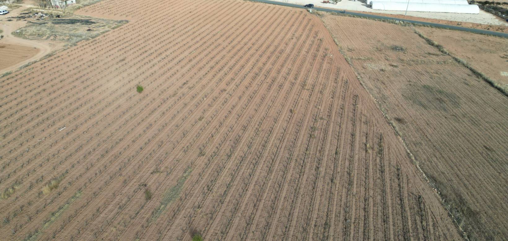 Resale - Grond - Pinoso