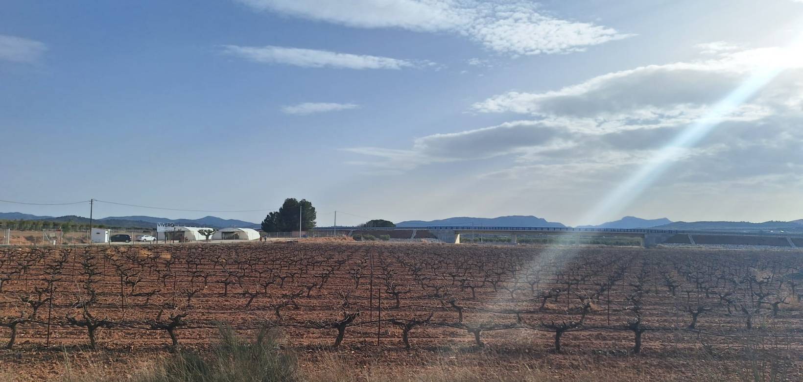 Resale - Grond - Pinoso