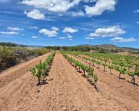 Resale - Grond - Pinoso