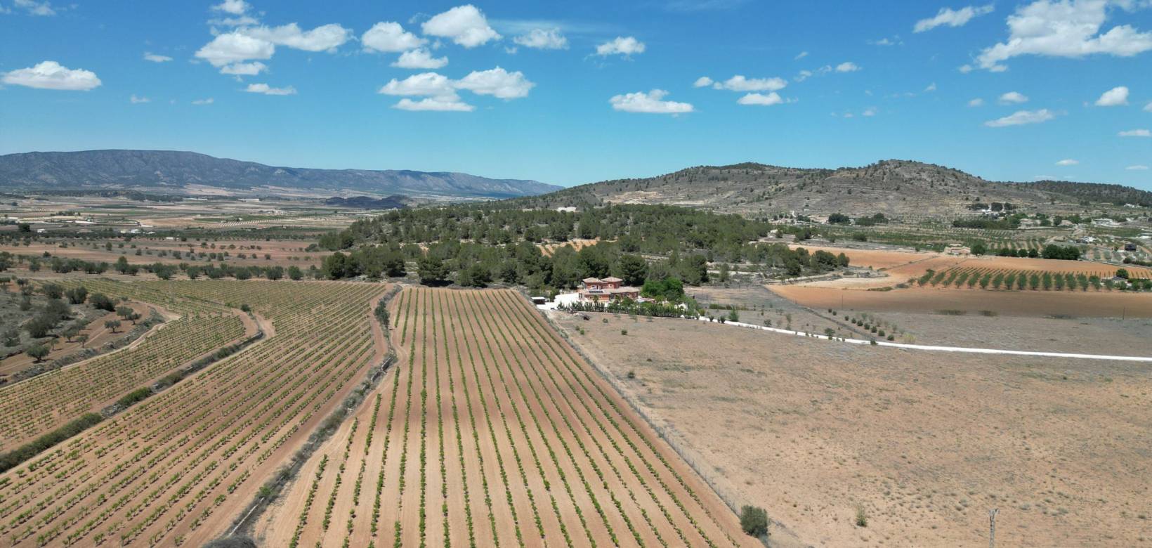 Resale - Grond - Pinoso