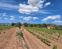 Resale - Grond - Pinoso