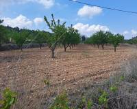 Resale - Grond - Pinoso