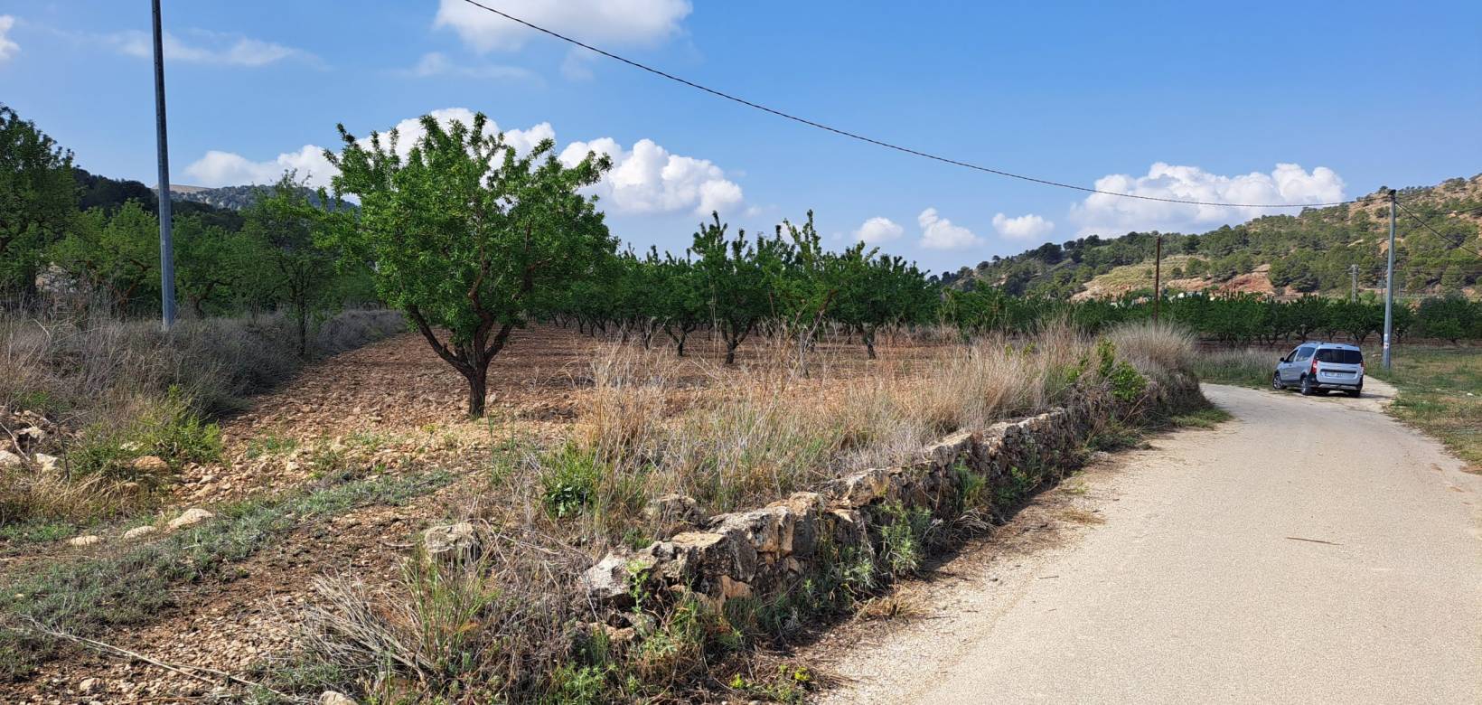 Resale - Grond - Pinoso