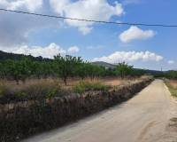 Resale - Grond - Pinoso