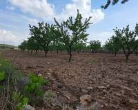 Resale - Grond - Pinoso