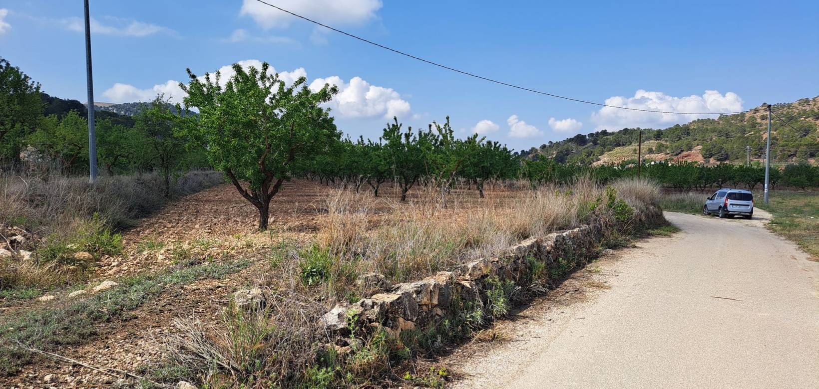 Resale - Grond - Pinoso