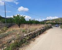 Resale - Grond - Pinoso