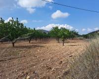 Resale - Grond - Pinoso