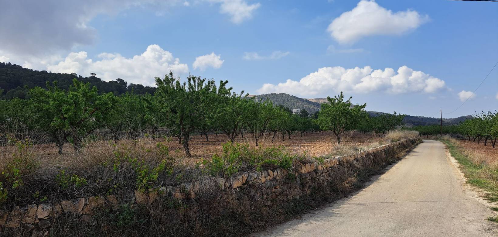 Resale - Grond - Pinoso