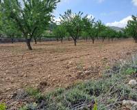 Resale - Grond - Pinoso