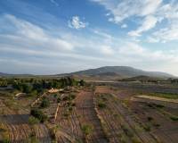 Resale - Grond - Pinoso