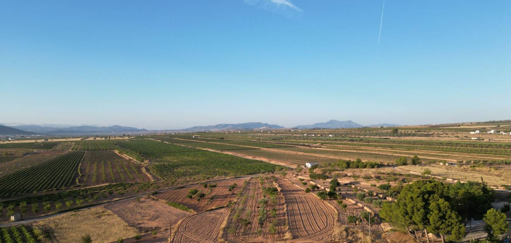 Resale - Grond - Pinoso