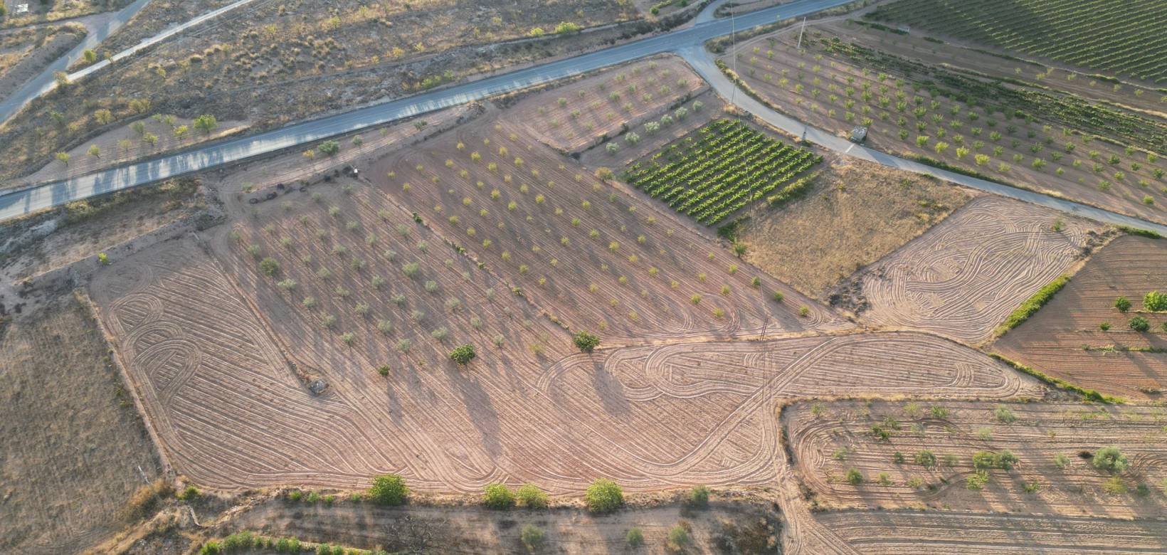 Resale - Grond - Pinoso