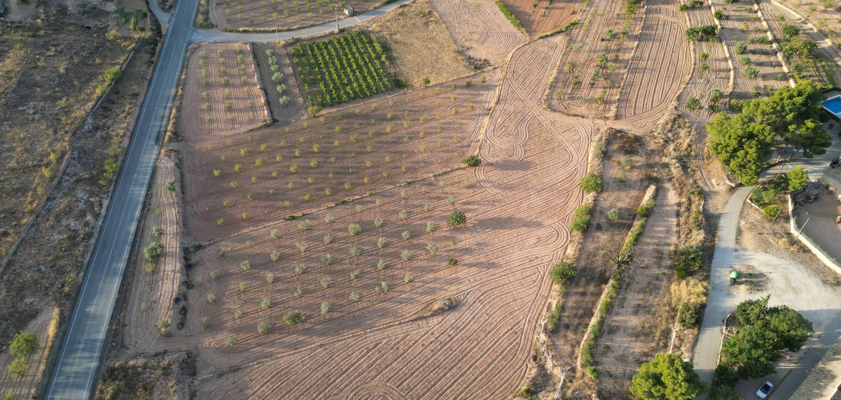 Resale - Grond - Pinoso