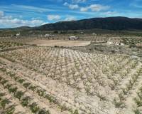 Resale - Grond - Pinoso