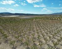 Resale - Grond - Pinoso