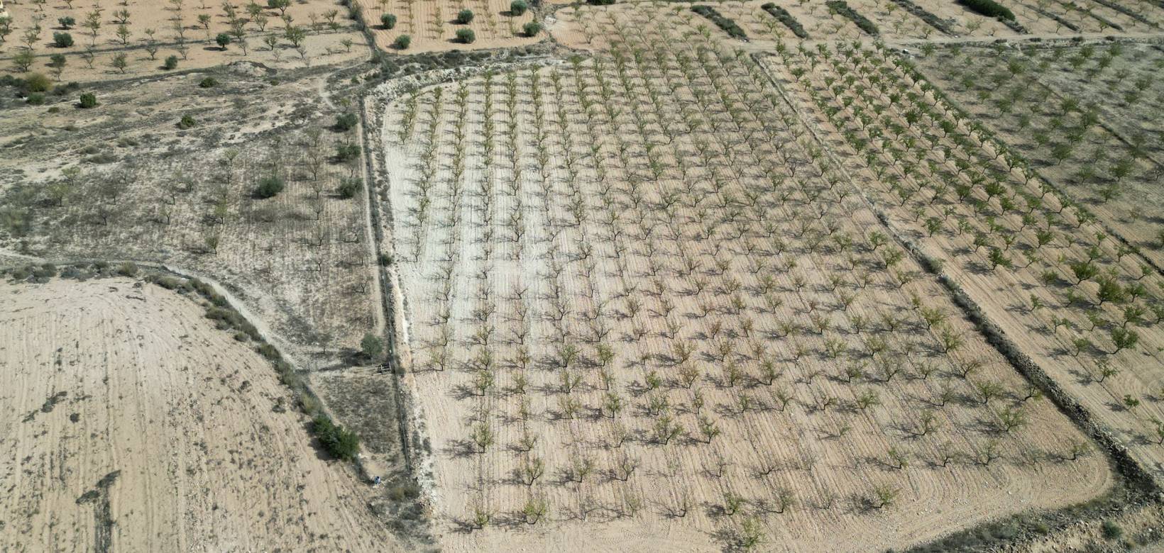 Resale - Grond - Pinoso