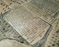 Resale - Grond - Pinoso