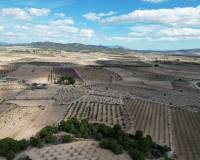 Resale - Grond - Pinoso