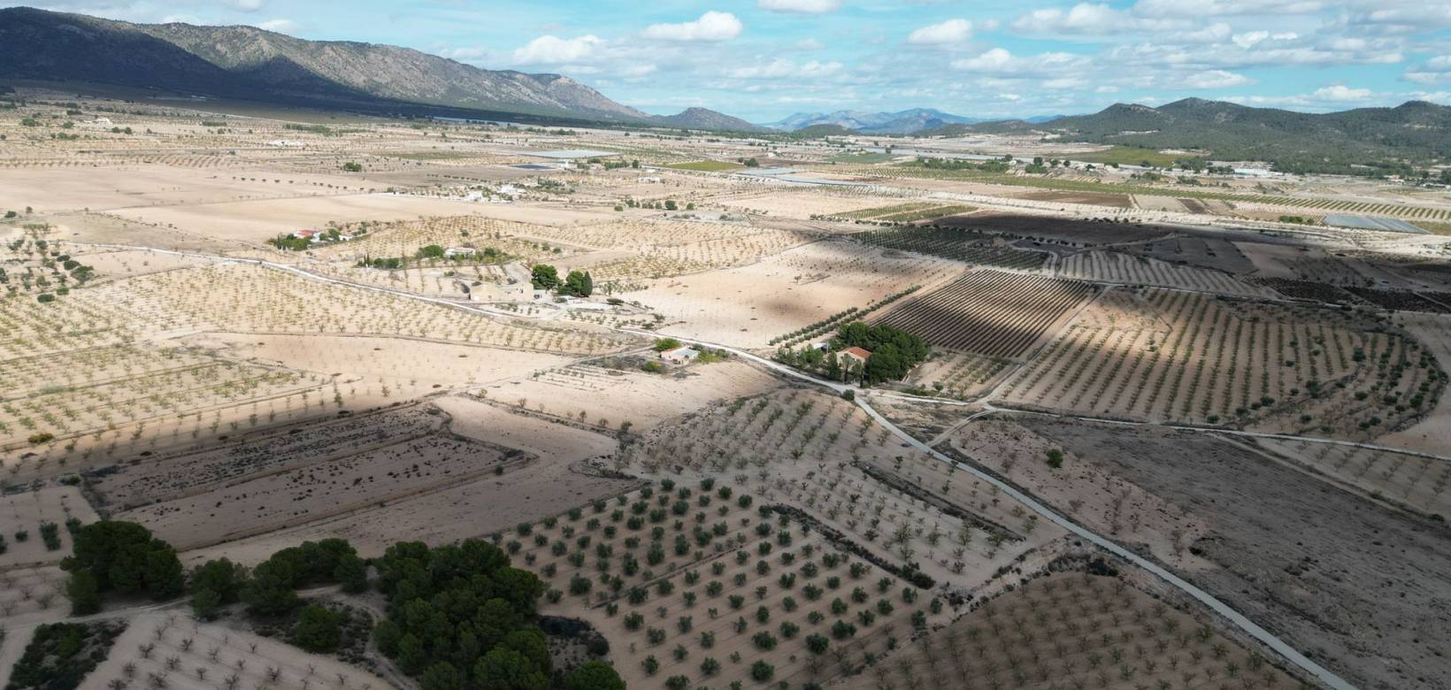 Resale - Grond - Pinoso