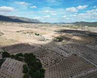 Resale - Grond - Pinoso