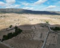 Resale - Grond - Pinoso