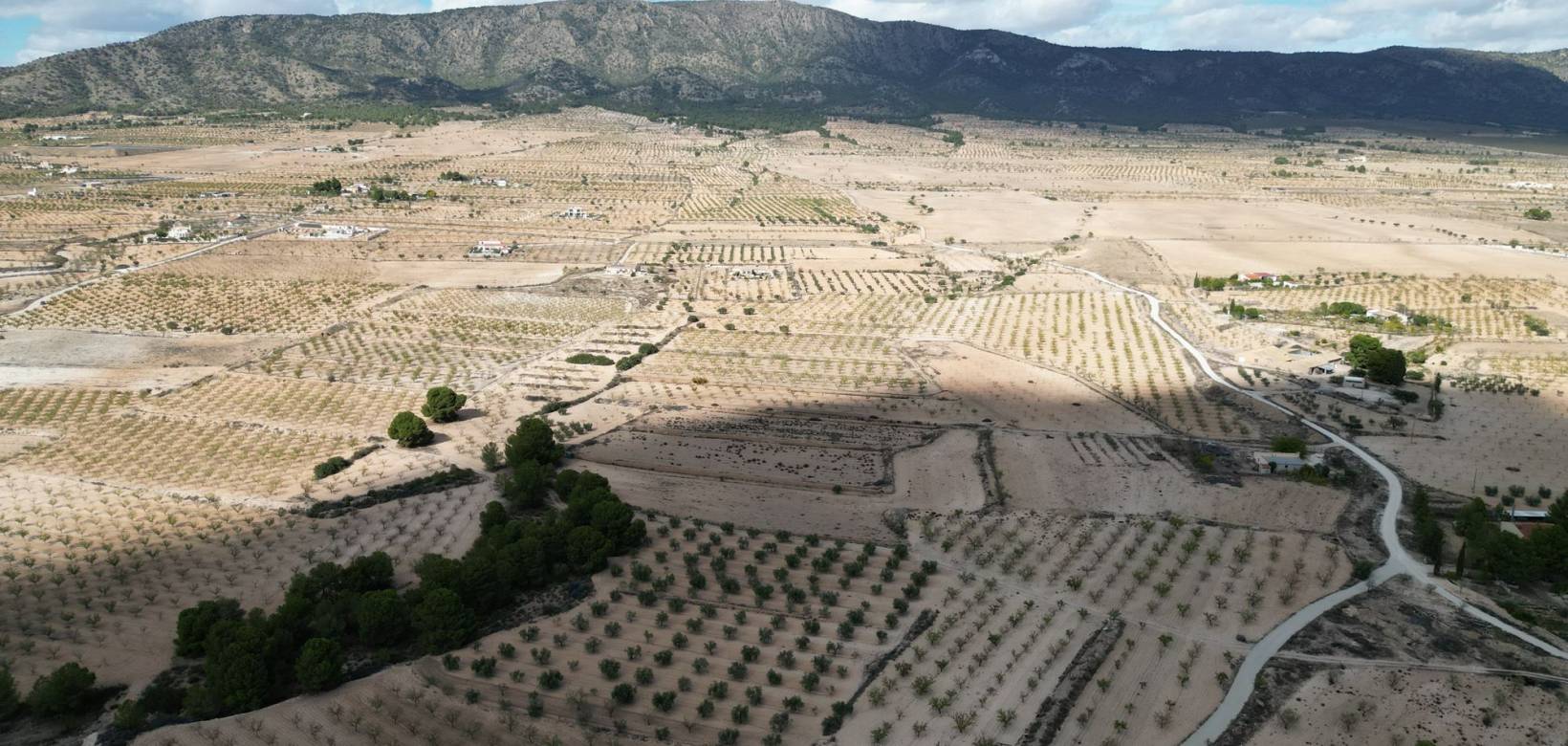 Resale - Grond - Pinoso