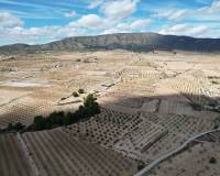 Resale - Grond - Pinoso