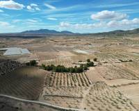 Resale - Grond - Pinoso