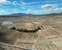 Resale - Grond - Pinoso