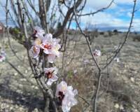 Resale - Grond - Salinas