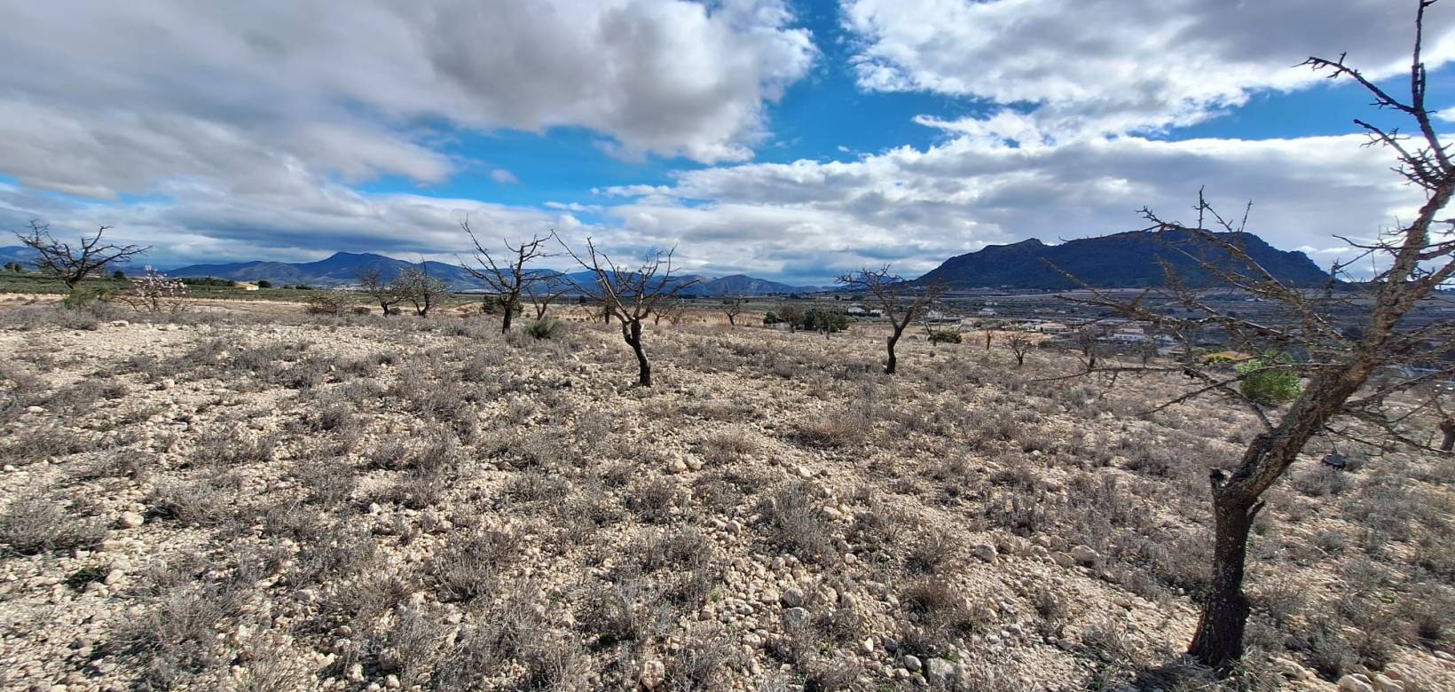 Resale - Grond - Salinas