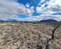 Resale - Grond - Salinas